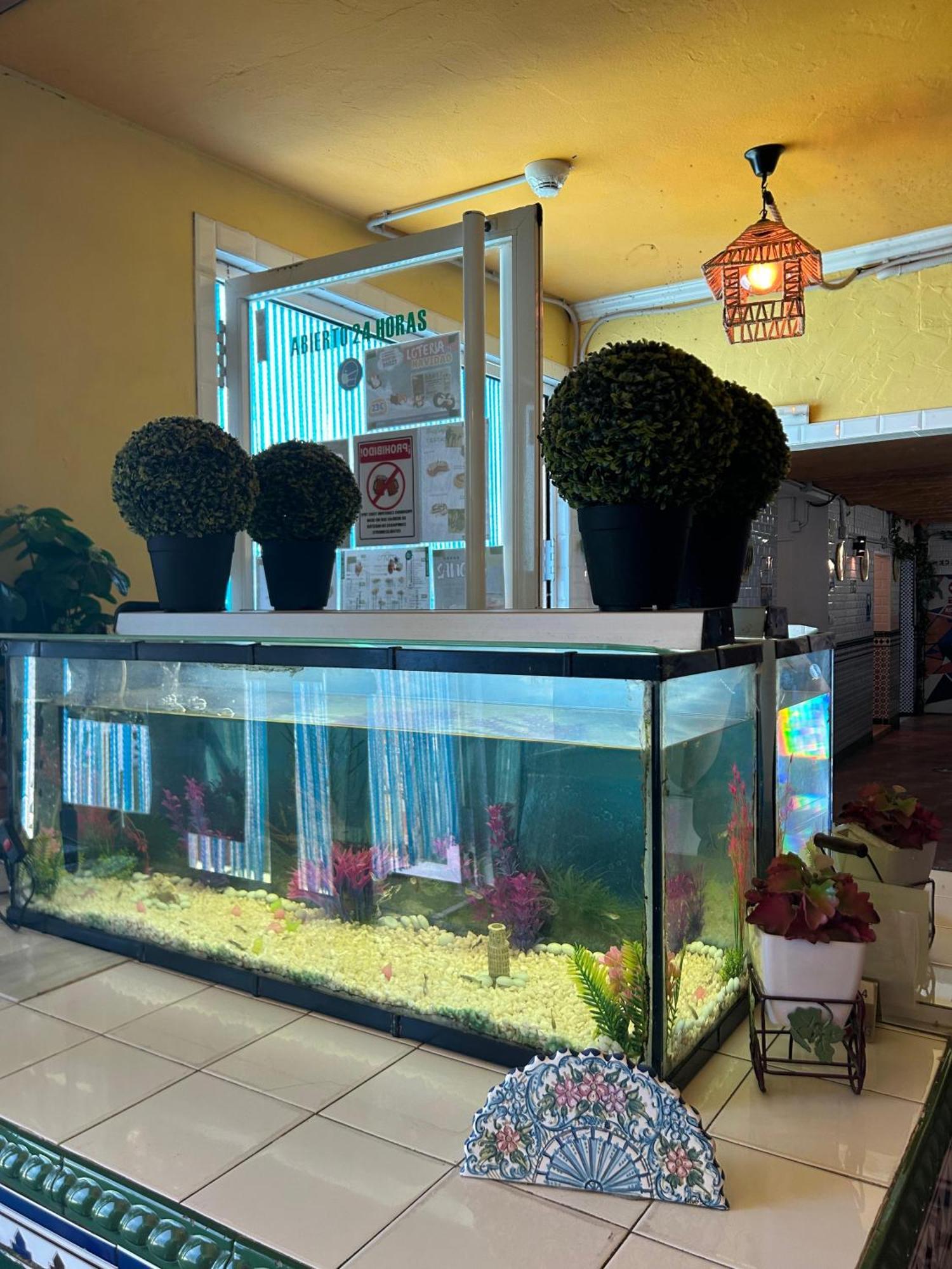Hostal Avenida Andalucia - Solo Adultos Sevilha Exterior foto